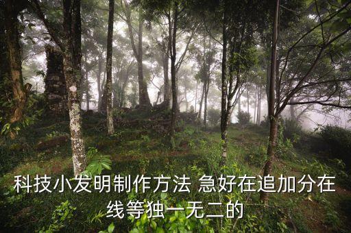 科技小發(fā)明制作方法 急好在追加分在線等獨(dú)一無二的