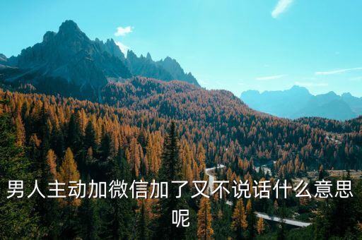 男人主動(dòng)加微信加了又不說話什么意思呢