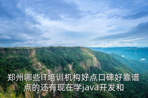 鄭州哪些IT培訓(xùn)機(jī)構(gòu)好點(diǎn)口碑好靠譜點(diǎn)的還有現(xiàn)在學(xué)java開發(fā)和