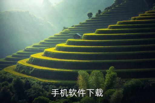 手機(jī)軟件下載