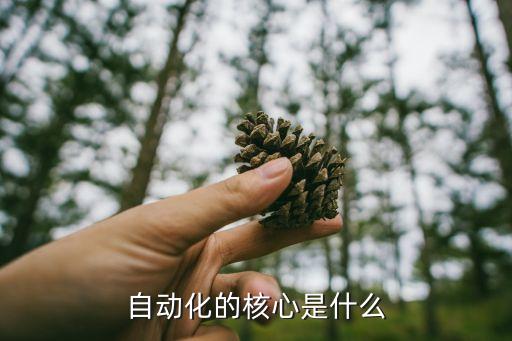 自動(dòng)化的核心是什么