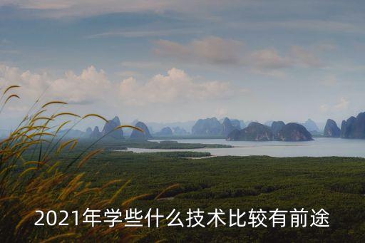 2021未來十大新技術(shù)，2021年學些什么技術(shù)比較有前途