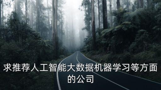 求推薦人工智能大數(shù)據(jù)機(jī)器學(xué)習(xí)等方面的公司