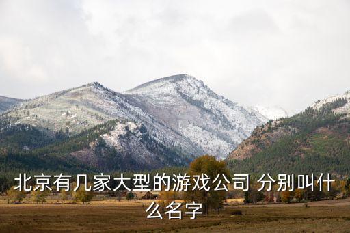 北京有幾家大型的游戲公司 分別叫什么名字