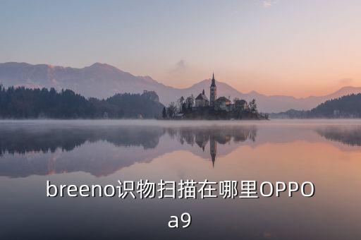 breeno識物掃描在哪里OPPOa9