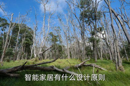智能家居有什么設(shè)計(jì)原則
