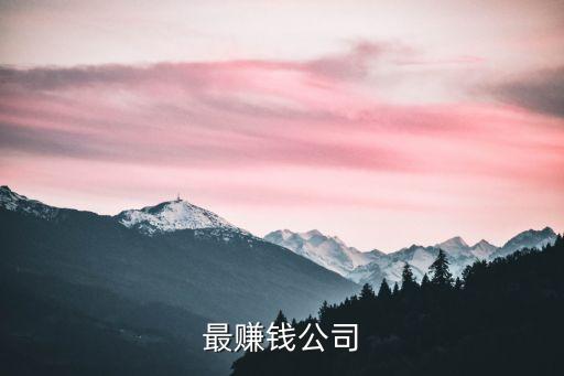 最賺錢公司