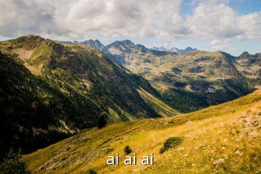 ai ai ai