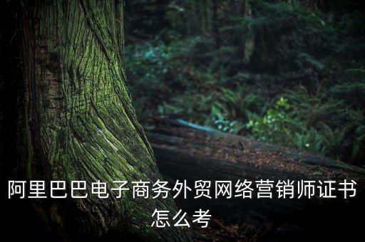 阿里巴巴電子商務(wù)外貿(mào)網(wǎng)絡(luò)營(yíng)銷(xiāo)師證書(shū)怎么考
