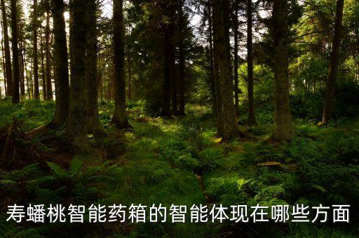 壽蟠桃智能藥箱的智能體現(xiàn)在哪些方面