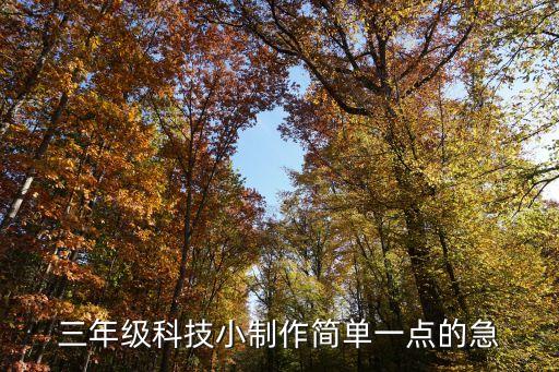 三年級科技小制作簡單一點的急