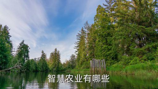 智慧農(nóng)業(yè)有哪些