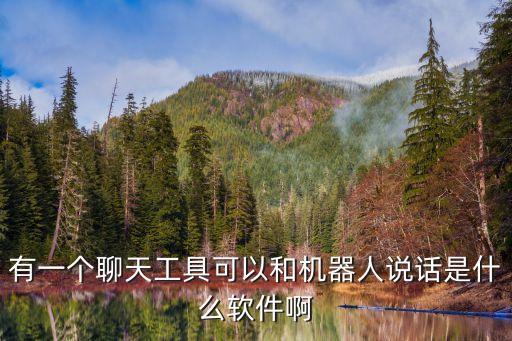 有一個(gè)聊天工具可以和機(jī)器人說話是什么軟件啊