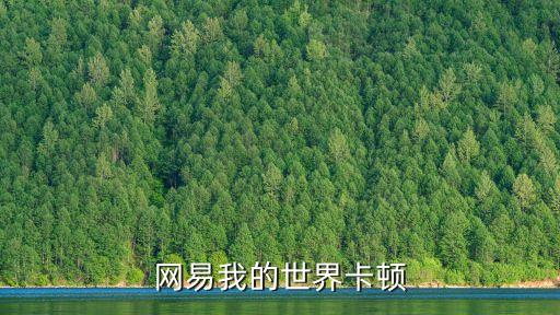 網(wǎng)易我的世界卡頓