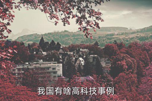我國(guó)有啥高科技事例
