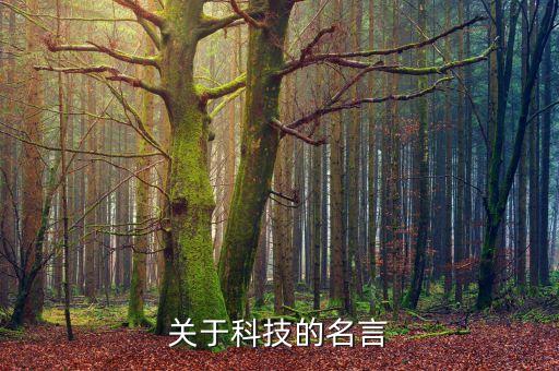 關(guān)于科技的名言