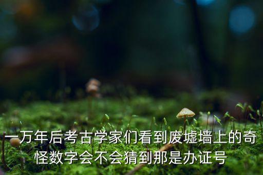一萬(wàn)年后考古學(xué)家們看到廢墟墻上的奇怪?jǐn)?shù)字會(huì)不會(huì)猜到那是辦證號(hào)