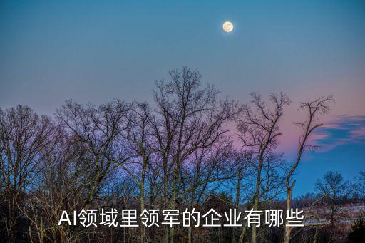 AI領(lǐng)域里領(lǐng)軍的企業(yè)有哪些