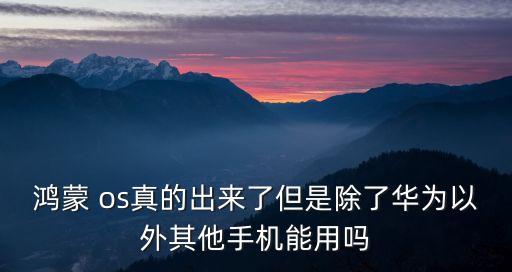 鴻蒙 os真的出來了但是除了華為以外其他手機能用嗎