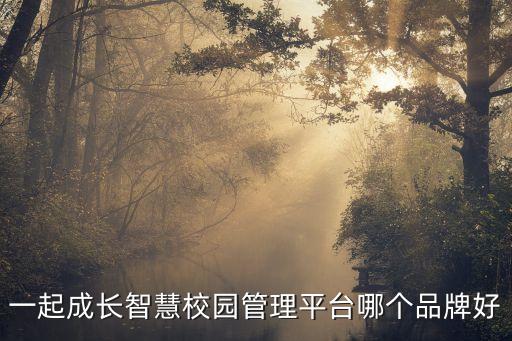 智慧校園服務(wù)平臺(tái)，一起成長(zhǎng)智慧校園管理平臺(tái)哪個(gè)品牌好