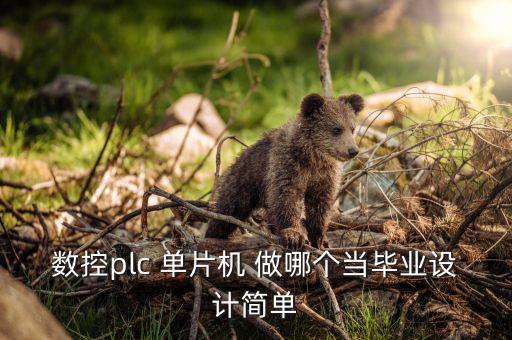 數(shù)控plc 單片機 做哪個當畢業(yè)設計簡單