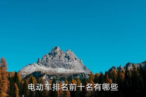 電動車排名前十名有哪些