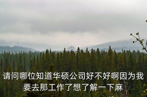 1998之巨擘崛起，關(guān)于by2有誰知道她們的