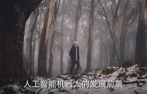 人工智能機器人的發(fā)展前景
