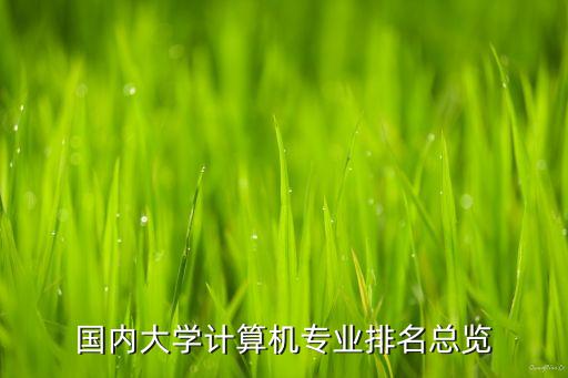 計(jì)算機(jī)專業(yè)評(píng)級(jí)排名，國內(nèi)大學(xué)計(jì)算機(jī)專業(yè)排名總覽