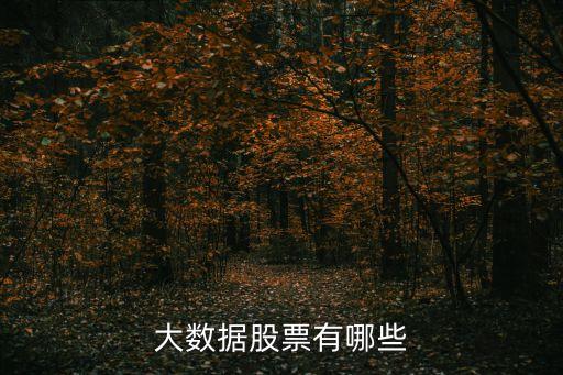 大數(shù)據(jù)股票有哪些