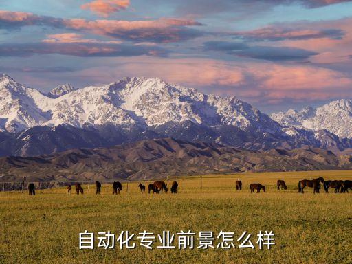 自動(dòng)化行業(yè)的前景，自動(dòng)化專業(yè)就業(yè)前景如何