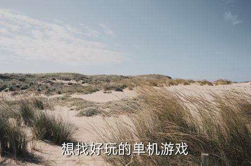 生存戰(zhàn)爭(zhēng)高科技版，游戲人生天行者