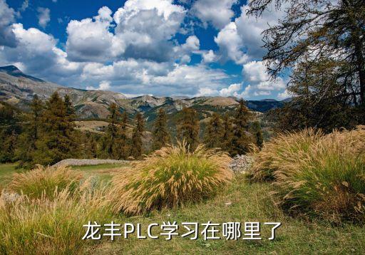 龍豐PLC學(xué)習(xí)在哪里了