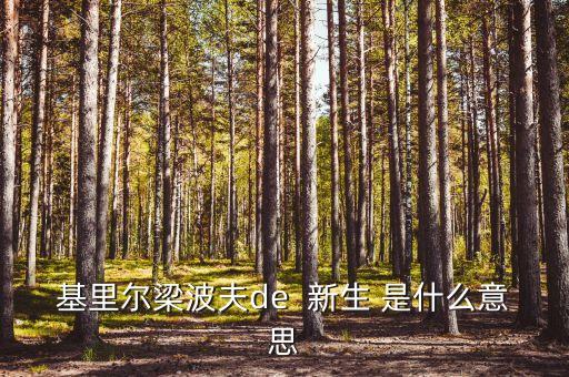 基里爾梁波夫de  新生 是什么意思