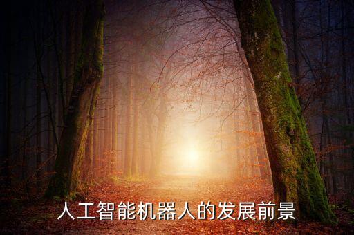 智能機(jī)器人行業(yè)背景調(diào)查，人工智能機(jī)器人的發(fā)展前景