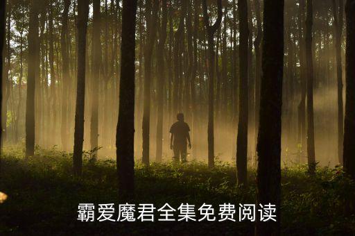 霸愛(ài)魔君全集免費(fèi)閱讀