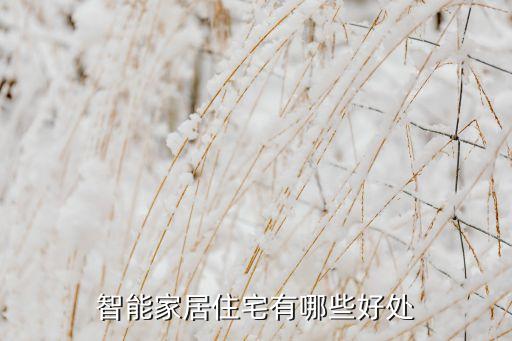 智能家居住宅有哪些好處