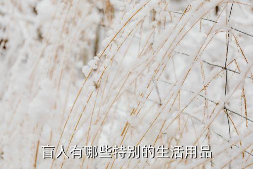 盲人有哪些特別的生活用品