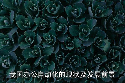 我國(guó)辦公自動(dòng)化的現(xiàn)狀及發(fā)展前景