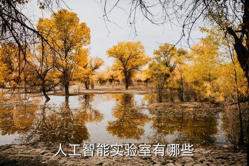 人工智能實驗室簡介萬能模板，人工智能的介紹