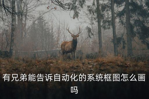 有兄弟能告訴自動化的系統(tǒng)框圖怎么畫嗎