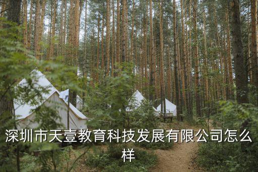 深圳市天壹教育科技發(fā)展有限公司怎么樣