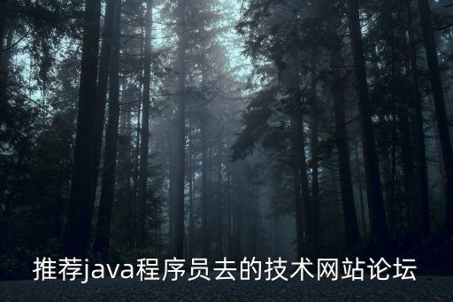 推薦java程序員去的技術(shù)網(wǎng)站論壇