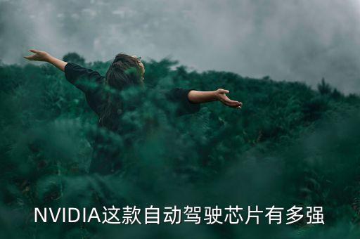 國內(nèi)自動駕駛芯片龍頭，NVIDIA這款自動駕駛芯片有多強