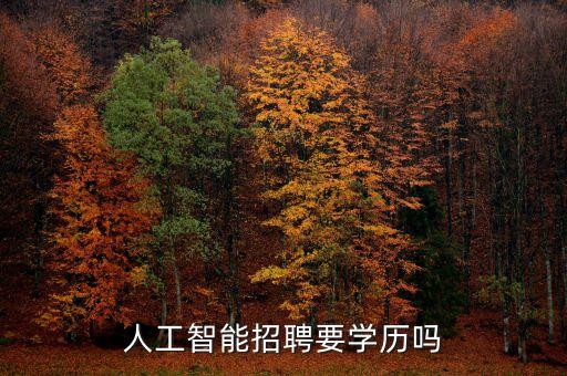 人工智能招聘要學(xué)歷嗎