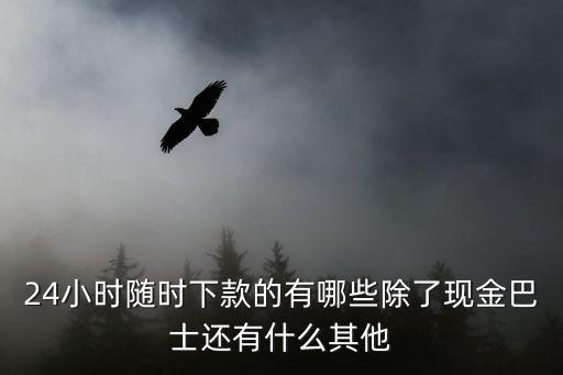 24小時(shí)隨時(shí)下款的有哪些除了現(xiàn)金巴士還有什么其他