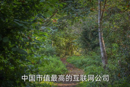 中國(guó)市值最高的互聯(lián)網(wǎng)公司
