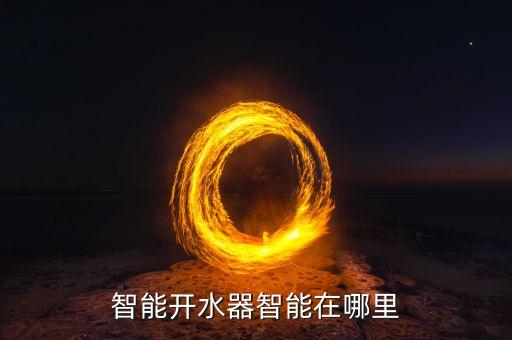 智能開水器，智能家用熱水器好用嗎有沒有好的推薦
