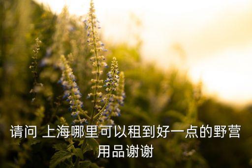 請問 上海哪里可以租到好一點的野營用品謝謝