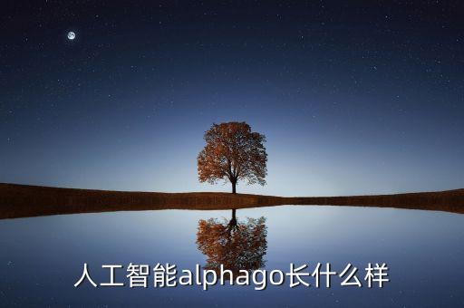 人工智能alphago長什么樣